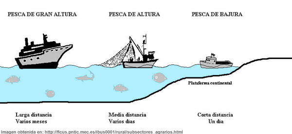 Deep-sea fishing