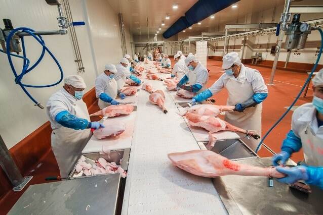 Spanje: vleesproductie blijft toenemen