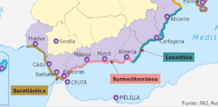 Puertos pesqueros Andalucía