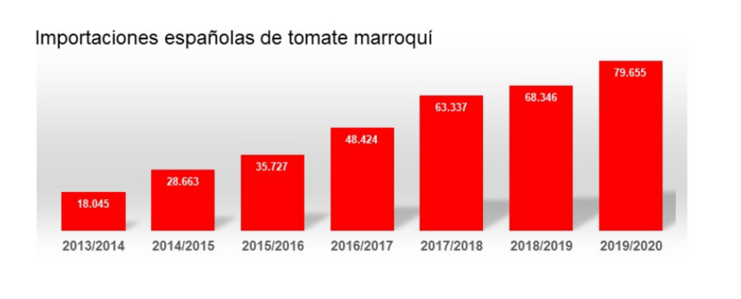 Import tomate Marruecos