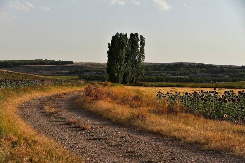 camino rural