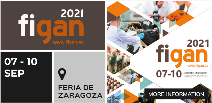 FIGAN 2021 Zaragoza