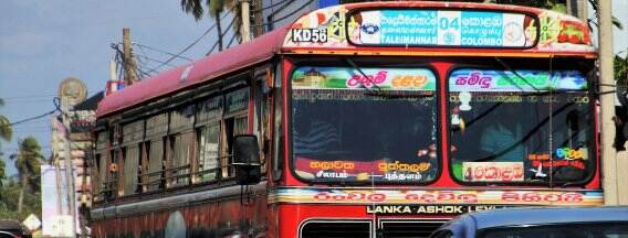 Bus Sri Lanka
