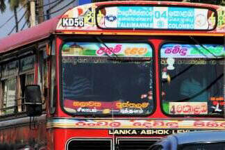 Bus Sri Lanka