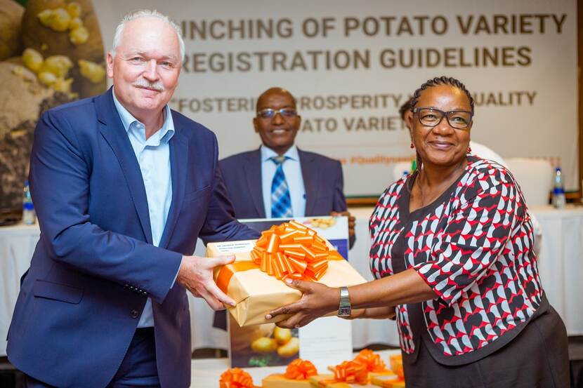 Potato variety registration guidelines - image 2