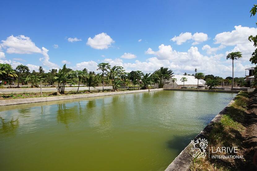 Grow out ponds Big Fish Tanzania