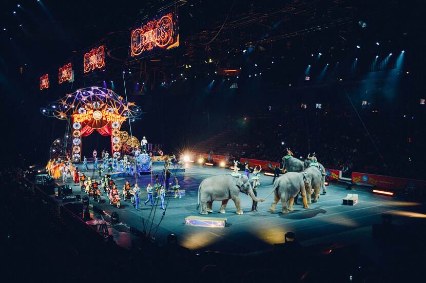 Circus animals