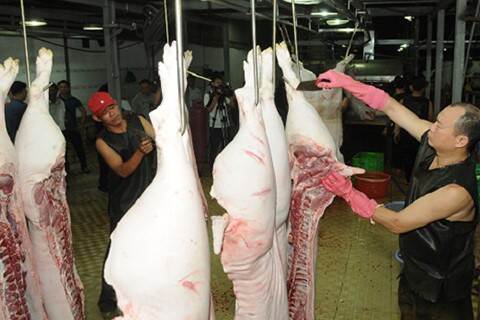A slaughterhouse in HCM City