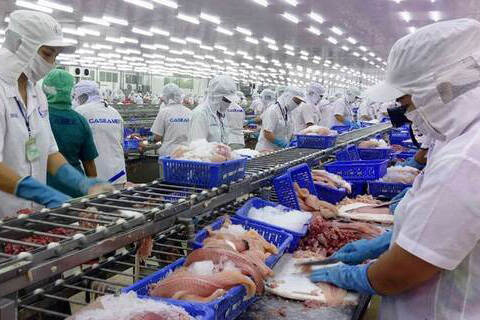 Processing seafood for export
