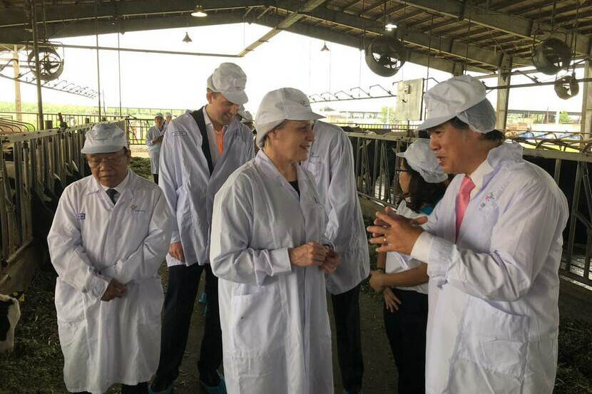 VM Sonnema visit to FDOV project in Ha Nam province, April 2019