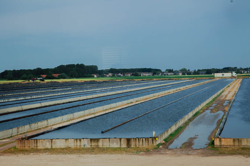 Aquaculture Mission - Field visits Delta farm