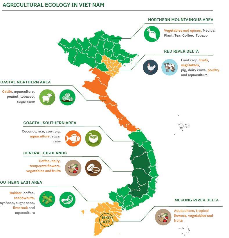 Agricultural Ecology in Vietnam