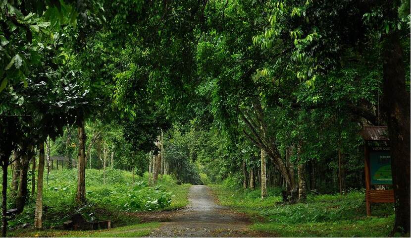 Botanic Garden in Cuc Phuong National Park