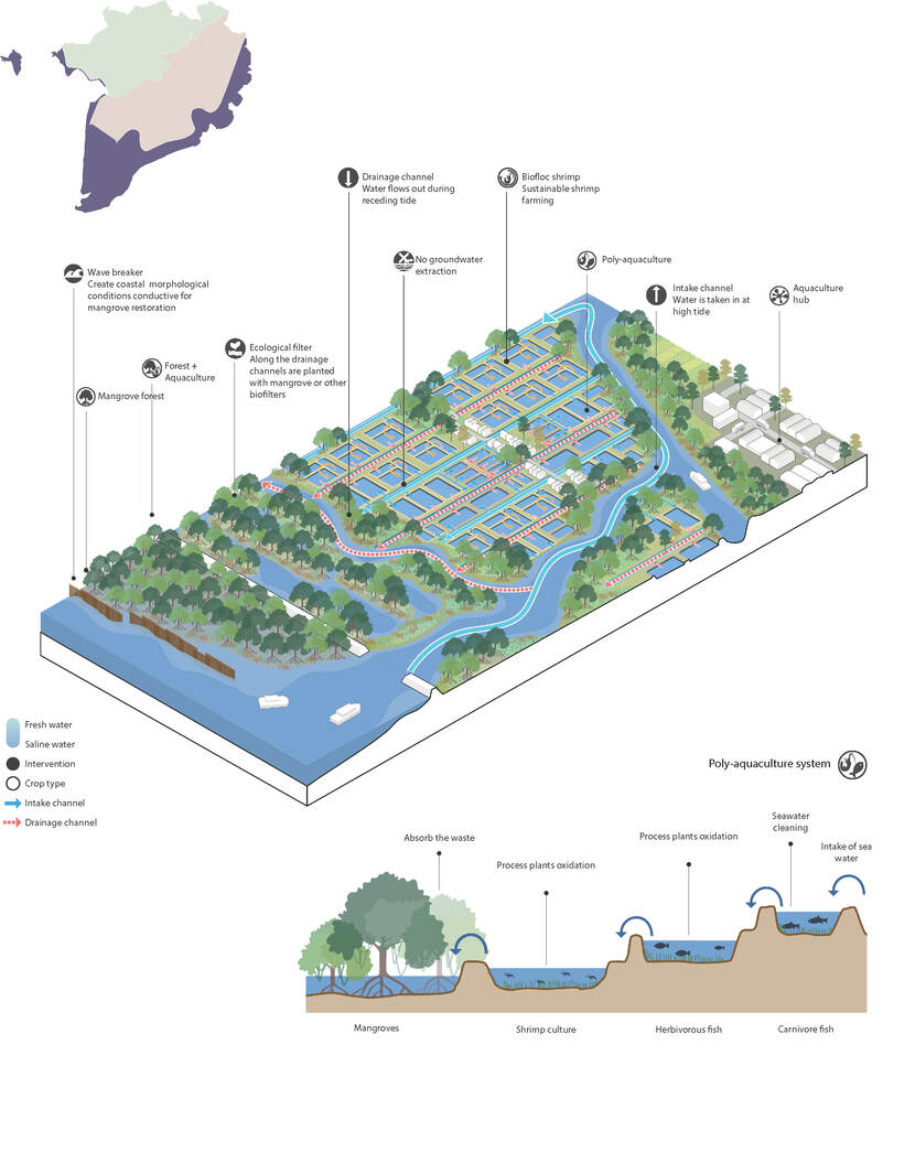 Mekong Delta Inforgraphic Page 12 Coastal zone