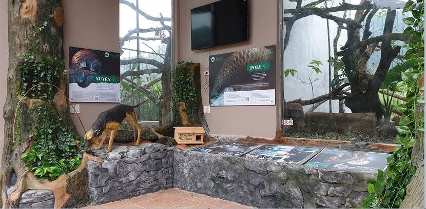 Pangolin Education House in Ninh Binh Province