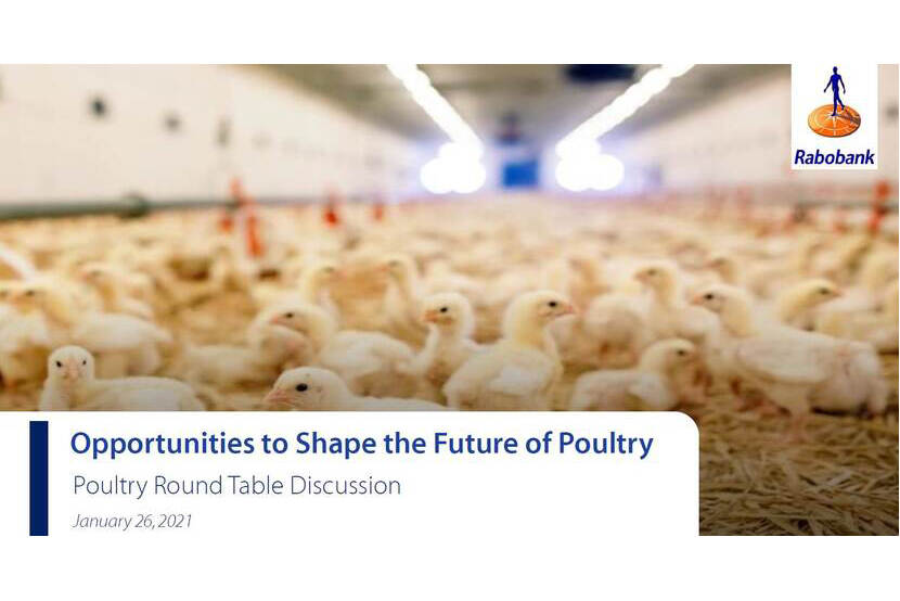 Future of poultry