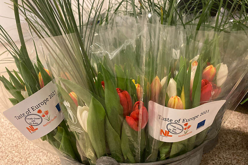 In de VS gekweekte tulpen uit Nederlandse bollen en uitgedeeld tijdens EU-evenement op Capital Hill