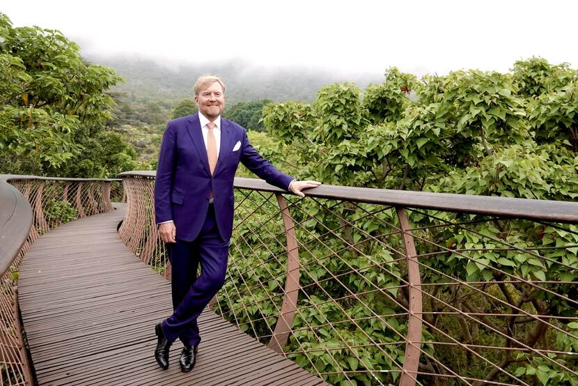 The King poses for a photo on a bridge surrounded by trees, with low-hanging mist blocking the view of the background.