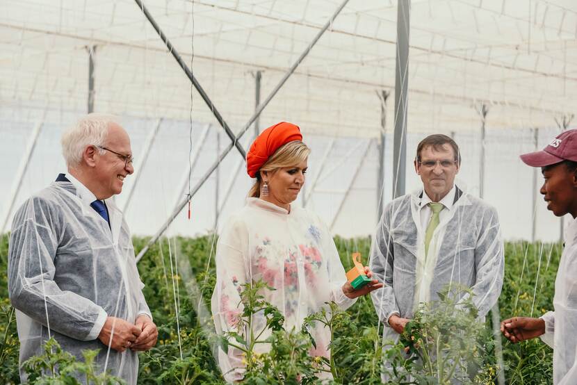 The queen stands accompanied by two gentlemen while listening to a presentation by an intern inside a tomato greenhouse.