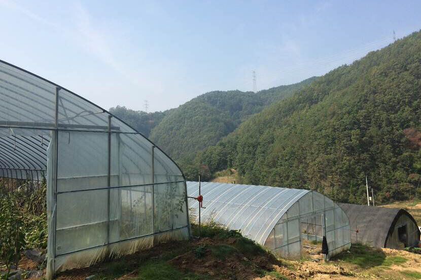 Low-tech plastic greenhouse in South Korea