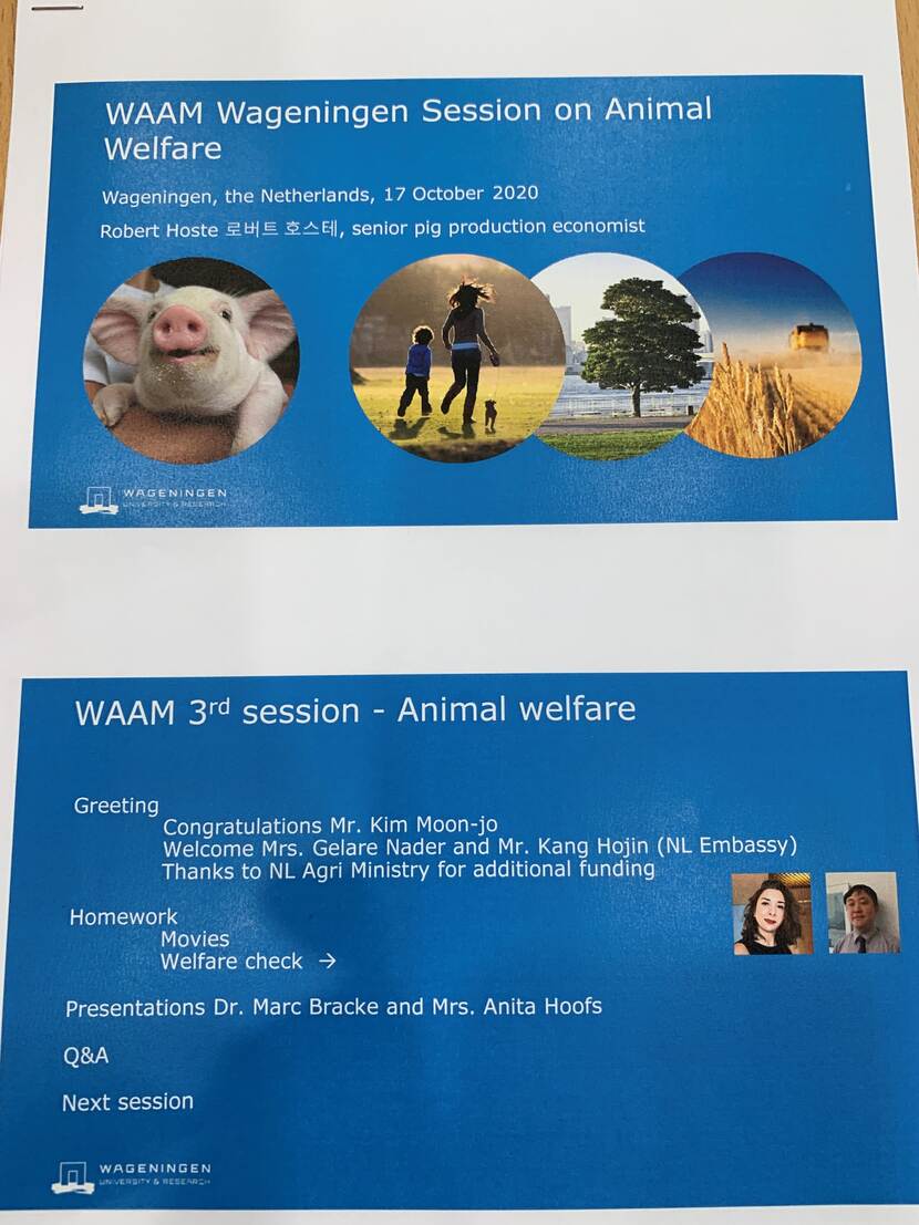 WAAM presentation