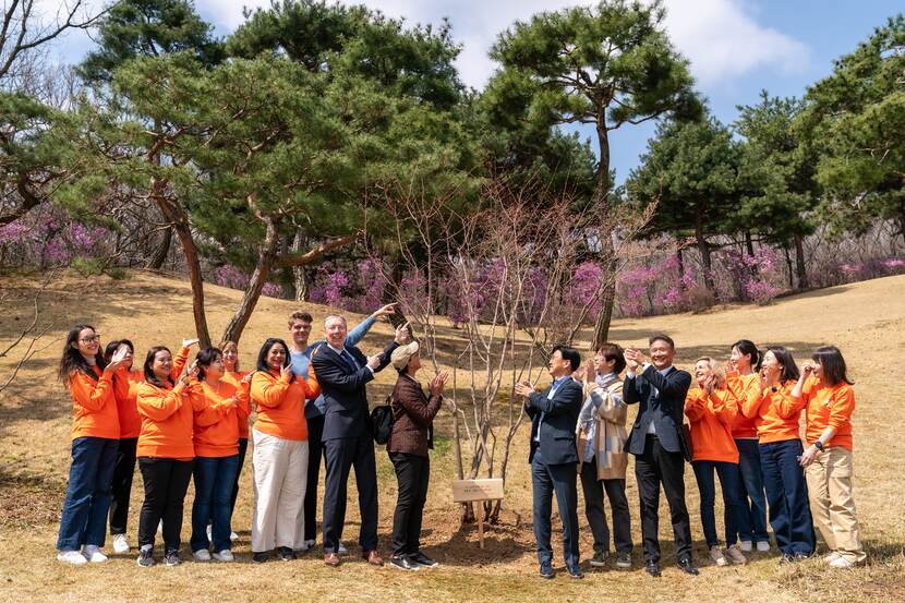 Korean Arbor Day