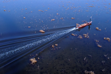 Iraqi Marshlands