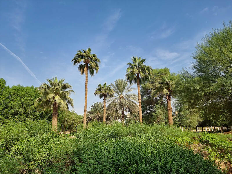 Green Riyadh