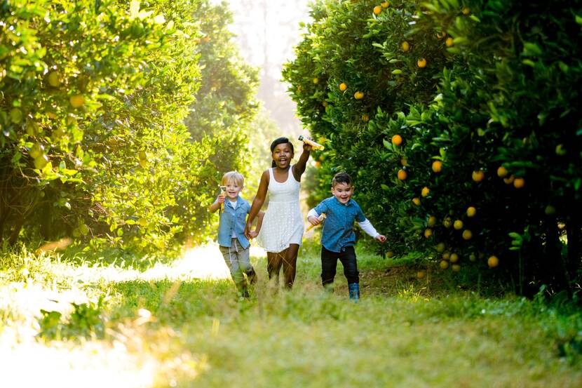 ZA Organic citrus farm, children running