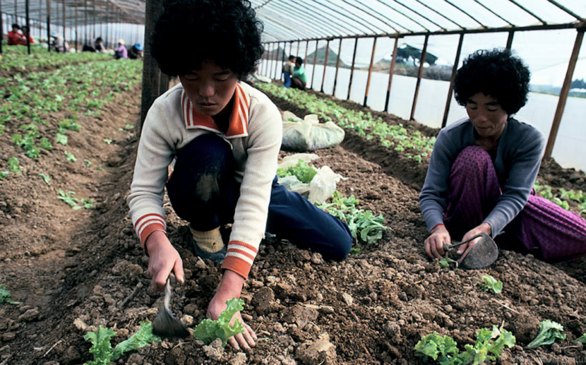Sustainable agriculture South Korea