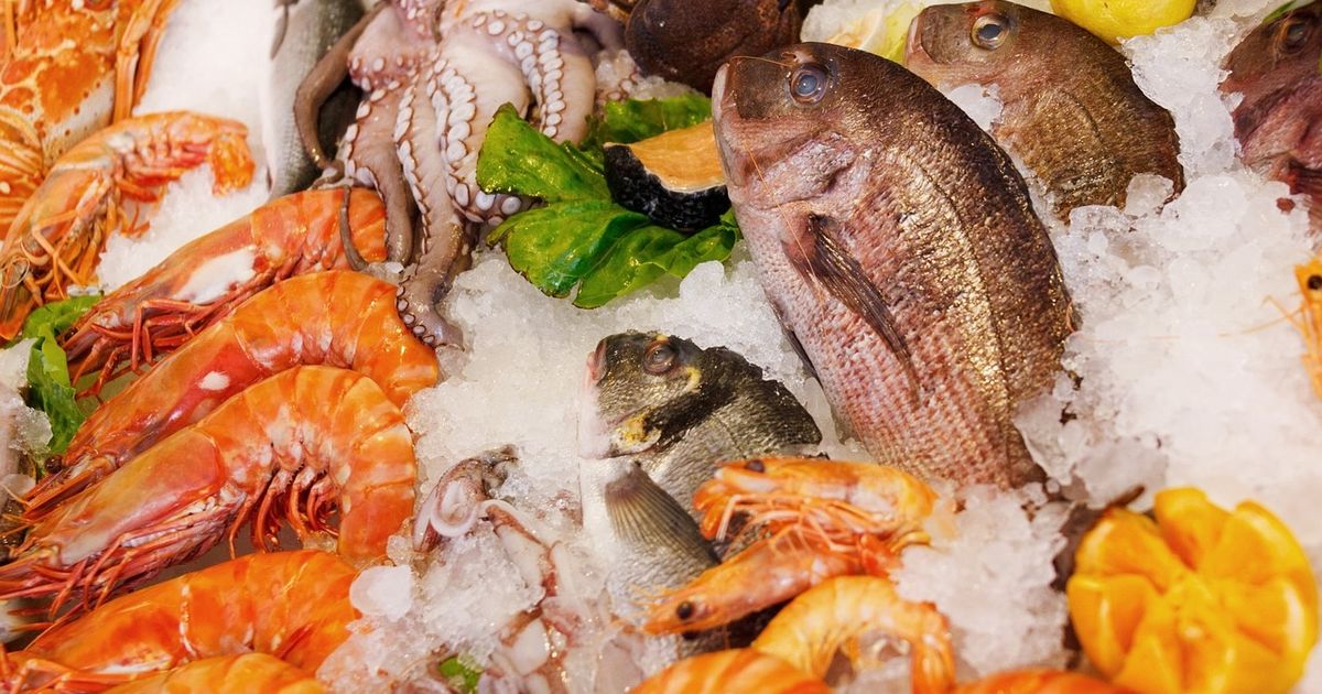 North Atlantic Seafood Forum (NASF) 2026, Bergen, Noorwegen