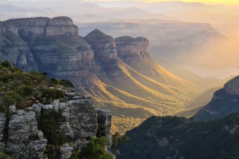 Protecting South Africa's biodiversity: collaborative efforts to